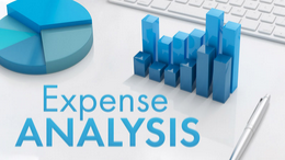 Expense Analysis_graphs